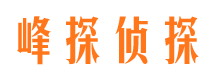 盐山市私家侦探